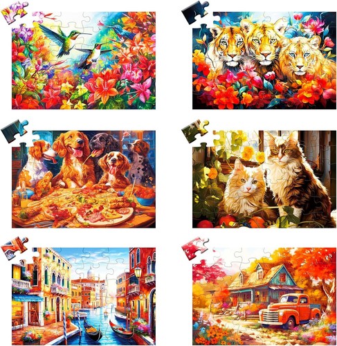 Pack piece large jigsaw - 6,